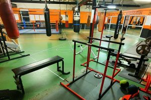 049181_b2a26d0f9c314308a82879434aa58b79_mv2