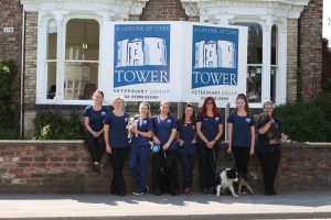 Tower-Vets-York-31