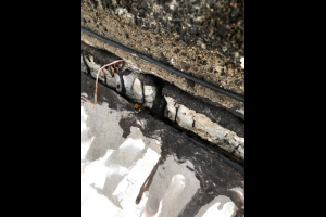 download - 2022-07-06T171806.330