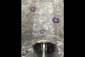 download - 2022-08-22T050036.592