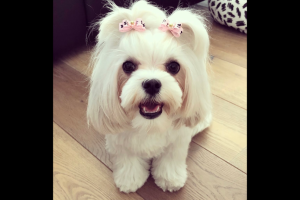 download - 2022-09-17T192730.740