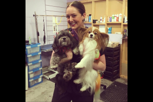 download - 2022-09-17T192740.533