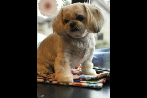 download - 2022-09-17T193729.431