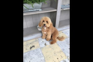 download - 2022-09-17T193737.650