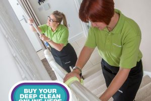 merry_maids_cleaning_handrail_online