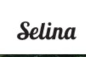 seina-new-logo