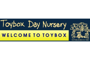 toy